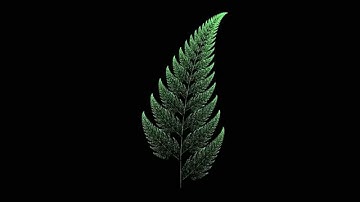 IFS fractal - Sierpinski gasket and Barnsley fern