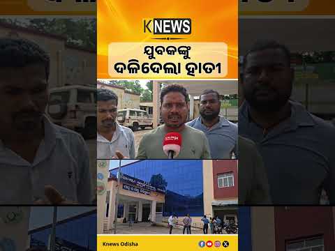 କେନ୍ଦୁଝର ଜିଲ୍ଲା ଘଟଗାଁ ଥାନା ଡଳଙ୍ଗପାଣି ଗାଁରେ ଦନ୍ତା ହାତୀ ଆକ୍ରମଣରେ ଯୁବକ ମୃତ୍ୟୁ। Elephant Attack।