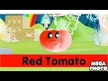 Red Tomato Toyor Baby English In G Major 1 