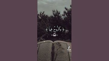 القران الكريم بصوت الشيخ فارس عباد حفظه الله قراءة عذبة