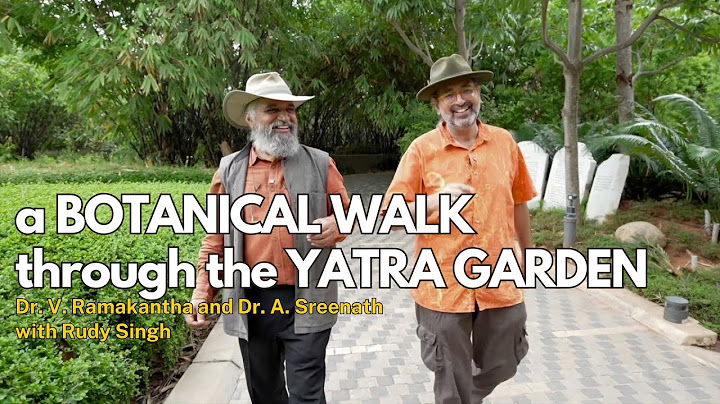 Botanical Walk through Yatra Garden - part 1
