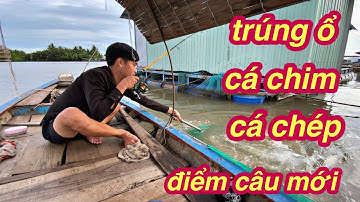 Thương vlog câu cá khu bè mới / Cám Huỳnh Khoa lên đủ loại cá @Xuanthuong91