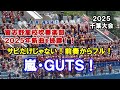 【高校野球応援】嵐のGUTS!習志野高校吹奏楽部が新曲で披露!しかも前奏からフル!【千葉大会】2025/7/19