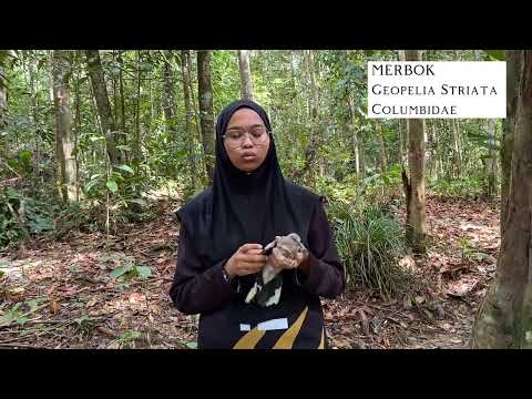 Kumpulan 4- Dokumentari Burung di UPMKB