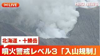 十勝岳 火山カメラ(HBC・臨時配信) のライブ映像