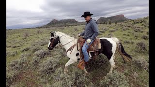 Trump to scale back 2 national monuments in trip to Utah