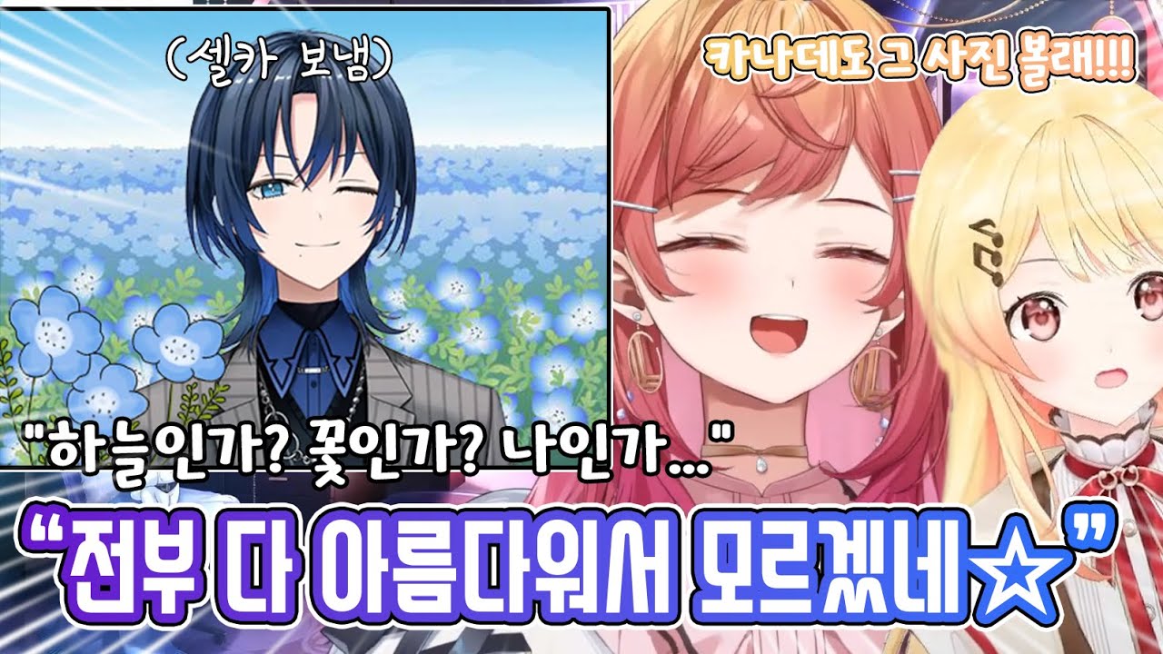 오랜만에 봐도 한결같은 아오의 근황ㅋㅋㅋㅋ[홀로라이브/이치조 리리카]