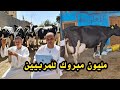 مليون مبروك لكل اخواتنا الفلاحين والمربين ربنا مش بيضيع تعب حد والسر في ده