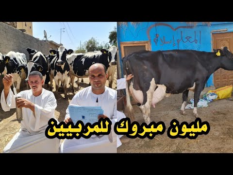 مليون مبروك لكل اخواتنا الفلاحين والمربين ربنا مش بيضيع تعب حد والسر في ده