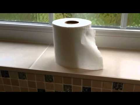 Video: Hoe vervang je toiletonderdelen?