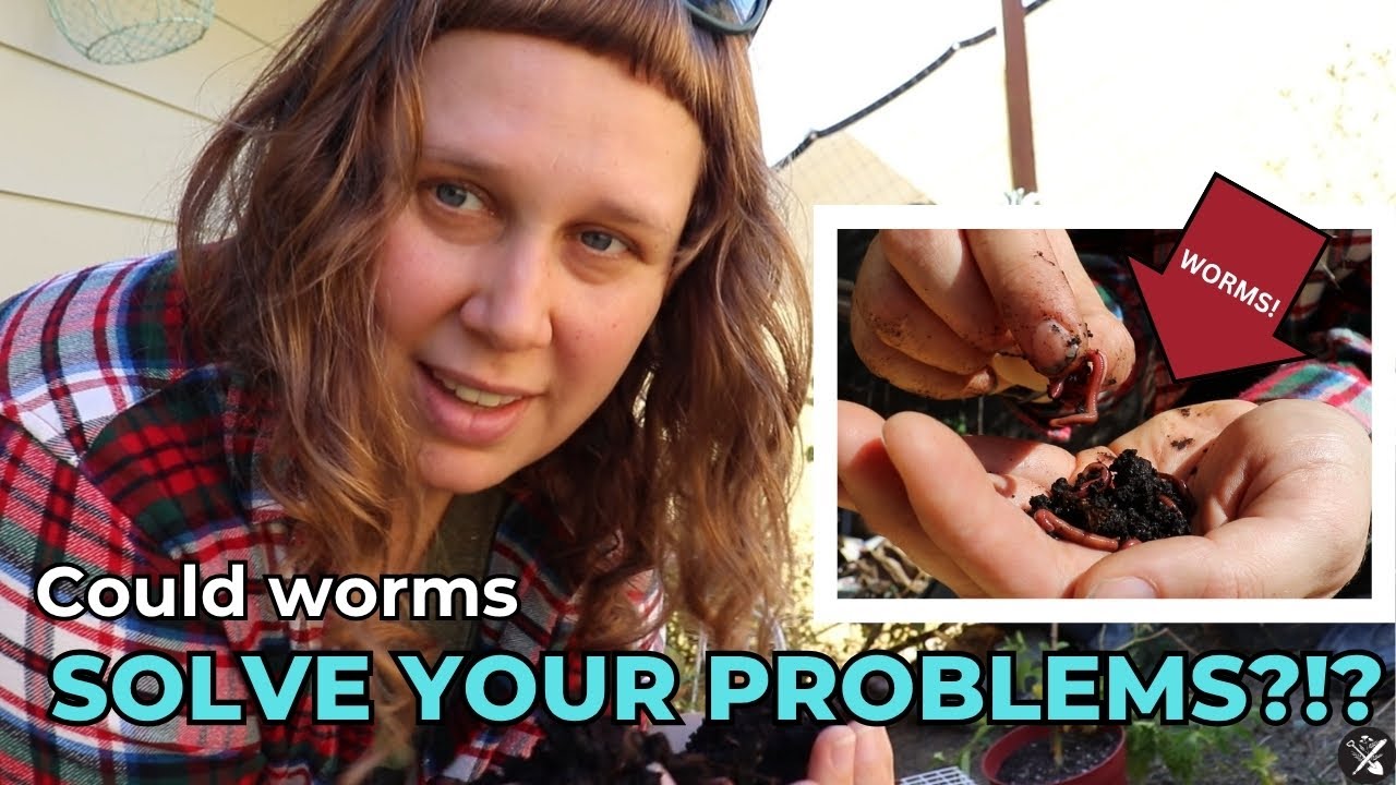 Worm Compost Bin - Cheap! DIY Tutorial