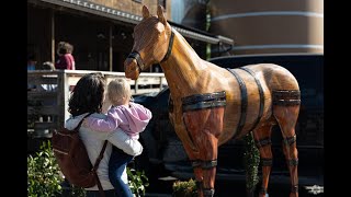 Living in Midway, KY: The Ultimate Local Guide | Homes.com