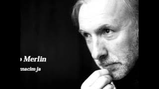 Dino Merlin - Sta ti znacim ja