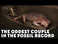 The Oddest Couple in the Fossil Record