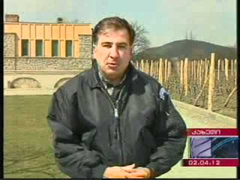 მალაიზიაში დაკავებული ქართველები