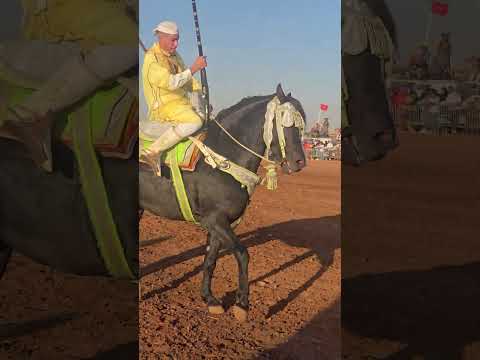 شوفو لي الفحل لي حرك الجماهير الحاضرة بهاد الرقصات والحركات الساحرة اكسبلور ثمن المغرب 