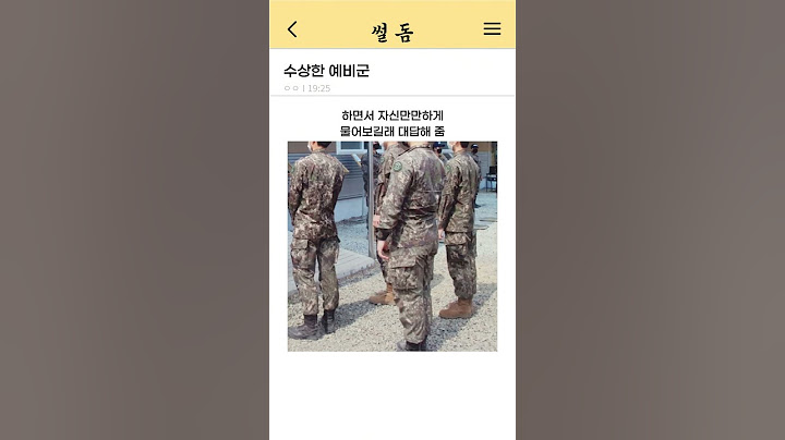수상한 예비군