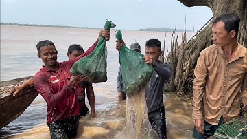 Cá Ngát kho Mắm Tiếp tục trải nghiệm săn bắt trên Sông Hậu cùng anh em VXĐ 690