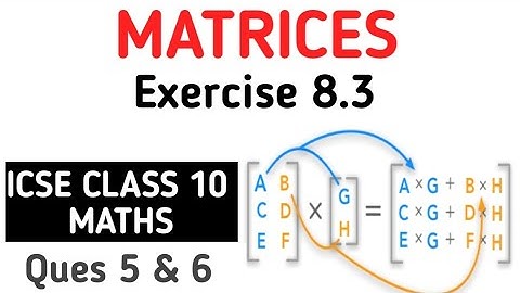 Matrices Class 10 ICSE | Ex 8.3 Q.No 5 & 6 ICSE Class 10 Matrices M L Aggarwal | Matrix Chapter 8