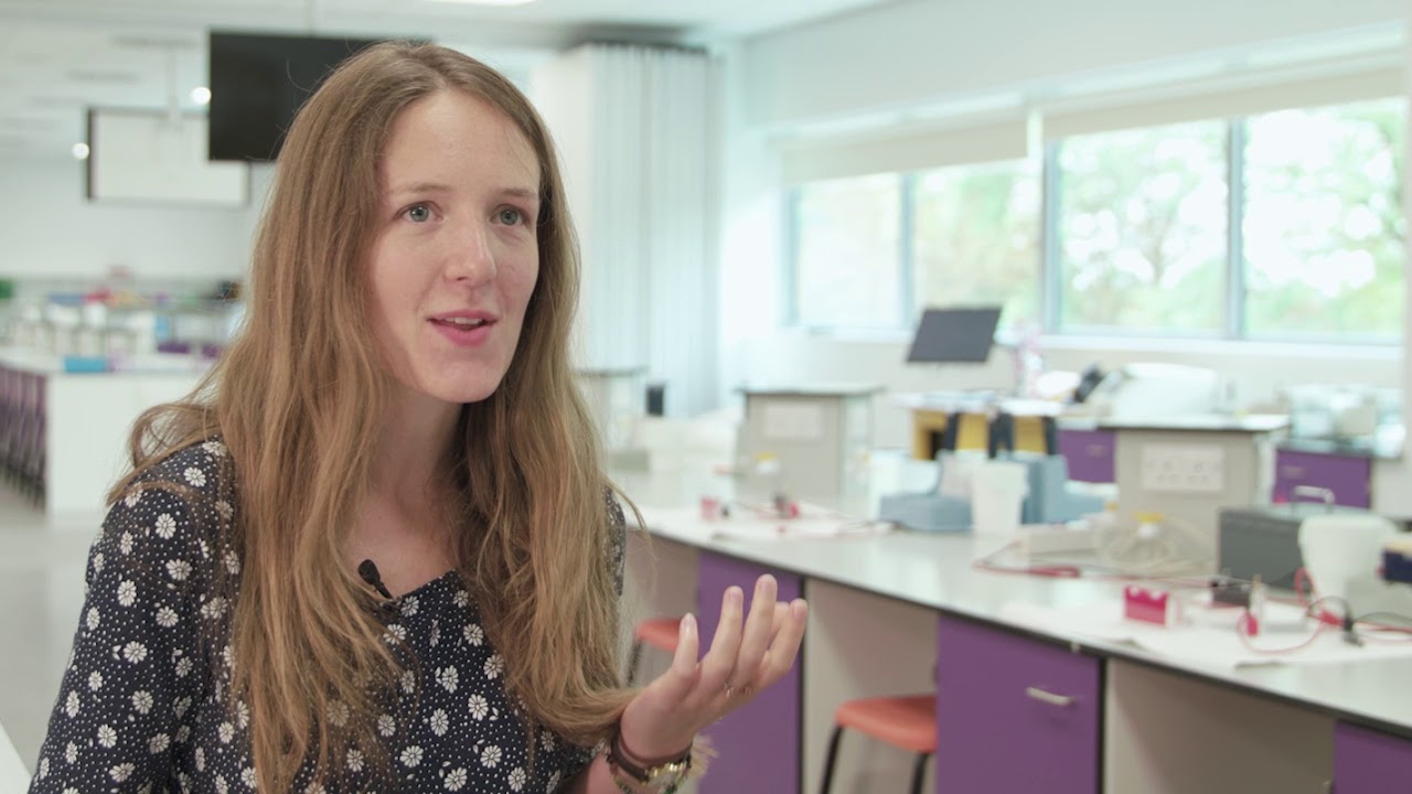 Studying in the Department of Biology