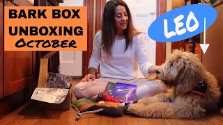 Bark Box Unboxing October with Leo our Goldendoodle