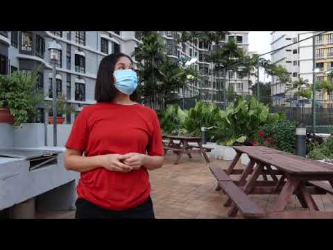 SECOND DAY OF CHINESE NEW YEAR AT CHILTERN PARK/FELICIA SG TV