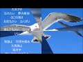 「海猫」♪吉幾三/cover藤小町
