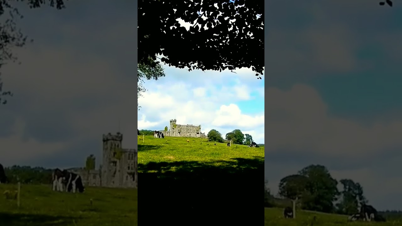 My Idyllic Irish House 