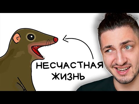 Ты -- Тупайа (И ЭТО ПОЛНЫЙ ОТСТОЙ) - реакция Градуса