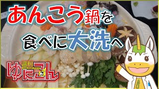 【雑談配信】週刊ゆにこん #101「アンコウ鍋を食べに大洗へ」【Vtuber / #ゆにこん 】
