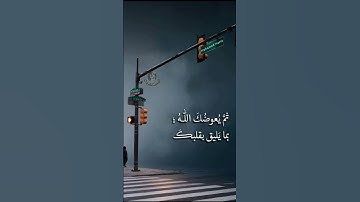 #المصحف #quran #تلاوات #اكسبلور #تيك_توك #لايك #الرحمن #ترند