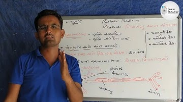 Std 10 Science chapter 7 વિજ્ઞાન :નિયંત્રણ અને સંકલન