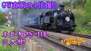 蒸気機関車C11 東武鉄道鬼怒川線 SL大樹 2026年4月25日 Steam locomotives in Japan