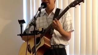 Tiny Bubbles (acoustic cover)