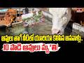 ఆవులు తాగే నీటిలో యూరియా కలిపిన ఆనవాళ్లు.. 10 పాడి ఆవులు మృ*తి! |Ranga Reddy District | hmtv