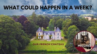 A Week In Our Life: A Missing Cat, Chateau Renovation & Organic Food Shopping In France