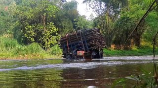 Tractors carrying wood across the river are spectacular, surpassing all time