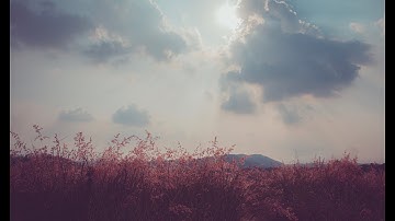 Đồi cỏ hồng Chí Linh Hải Dương, ví như Đà Lạt thu nhỏ