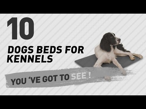 dogs-beds-for-kennels-//-pets-lover-channel-presents: