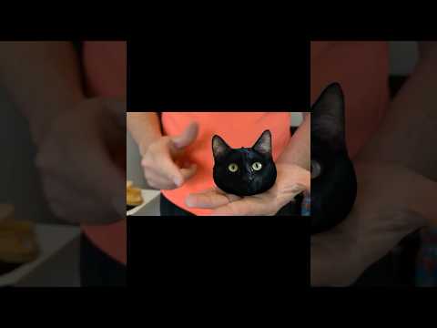 ¡MI GATO ES COMO LOS DUMPLINGS SQUISHY VIRALES!
