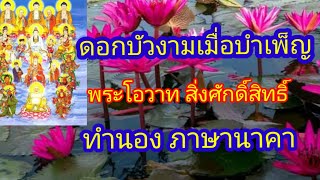 ดอกบัวงามเมื่อบำเพ็ญ : พระโอวาทสิ่งศักดิ์สิทธิ์ ทำนอง ภาษานาคา