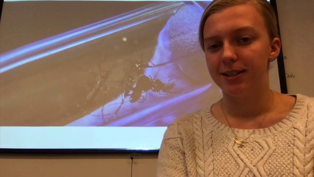 Science Ambassador Scholarship YouTube