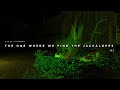 PHASMOPHOBIA 🚨THE ONE WHERE WE FIND THE JACKALOPES