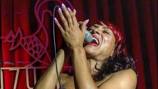 Celebrity Elle Cato Live at Zédels - Picture Perfect Profile