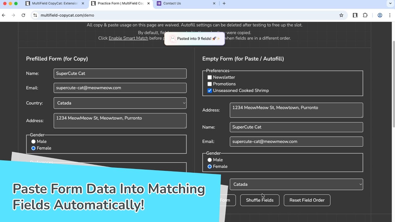 Use Smart Match to Auto-Match Form Fields When Pasting | MultiField CopyCat Chrome Extension