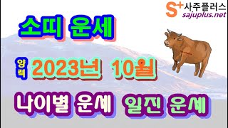 10월 소띠 운세 - 2023년 10월 계묘년 임술월 소띠 일진 사주 운세보기