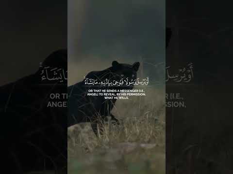 قران القارئ ناصر القطامي سورة الشورى