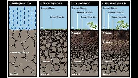 Soils/ soil formation/ layers of the soil