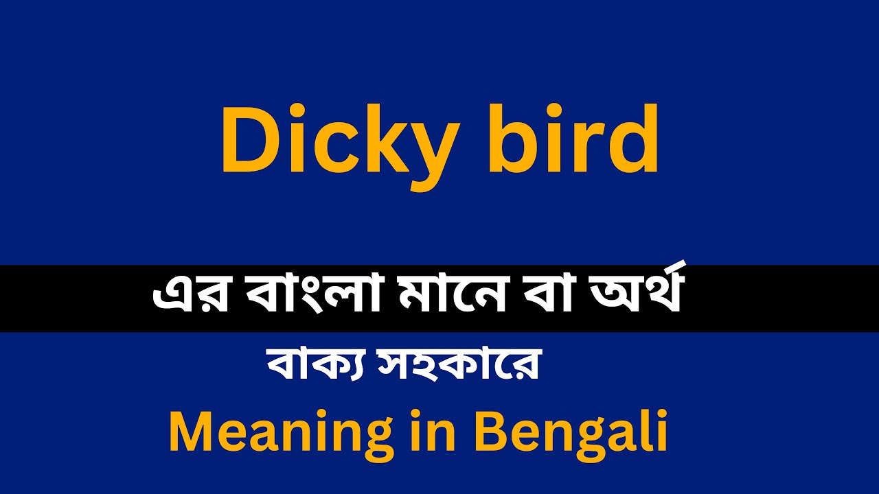 Dicky Bird Meaning In Bengali Dicky Bird dicky-bird-meaning-in-bengali-dicky-bird
