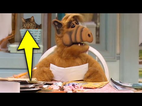 ALF 1986 あなたが知らなかった20の奇妙な事実 